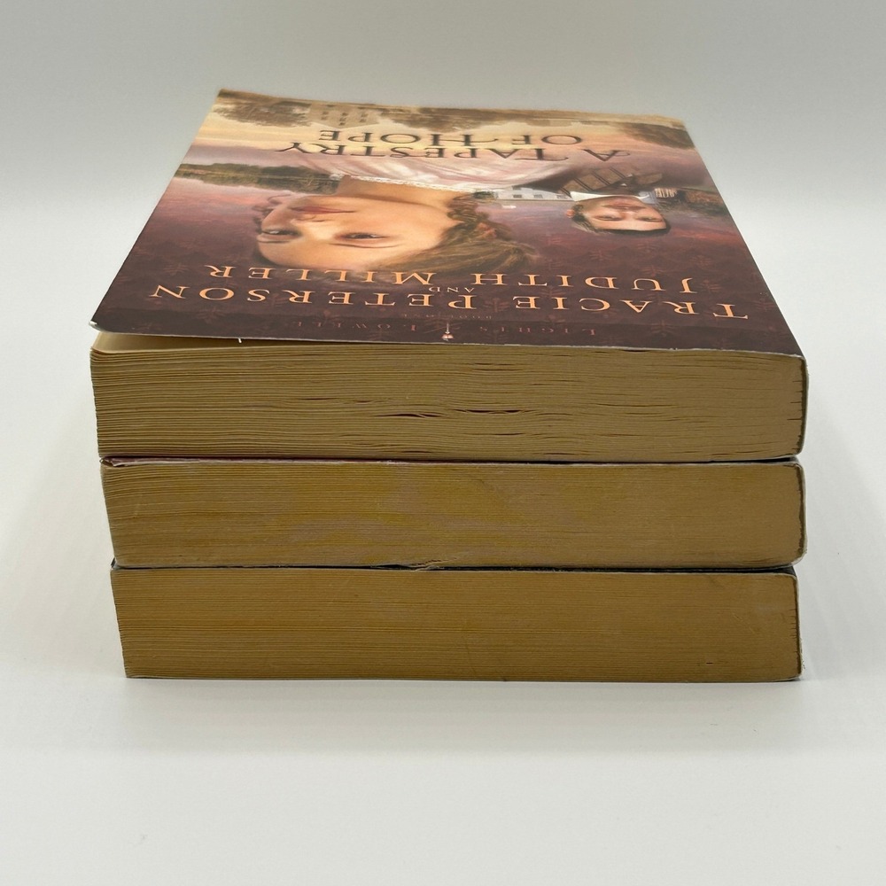 Lights of Lowell Series BUNDLE of 3 Peterson Miller Paperback Historical Fiction - Picture 11 of 13